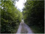 Planina Polog - Source of Tolminka